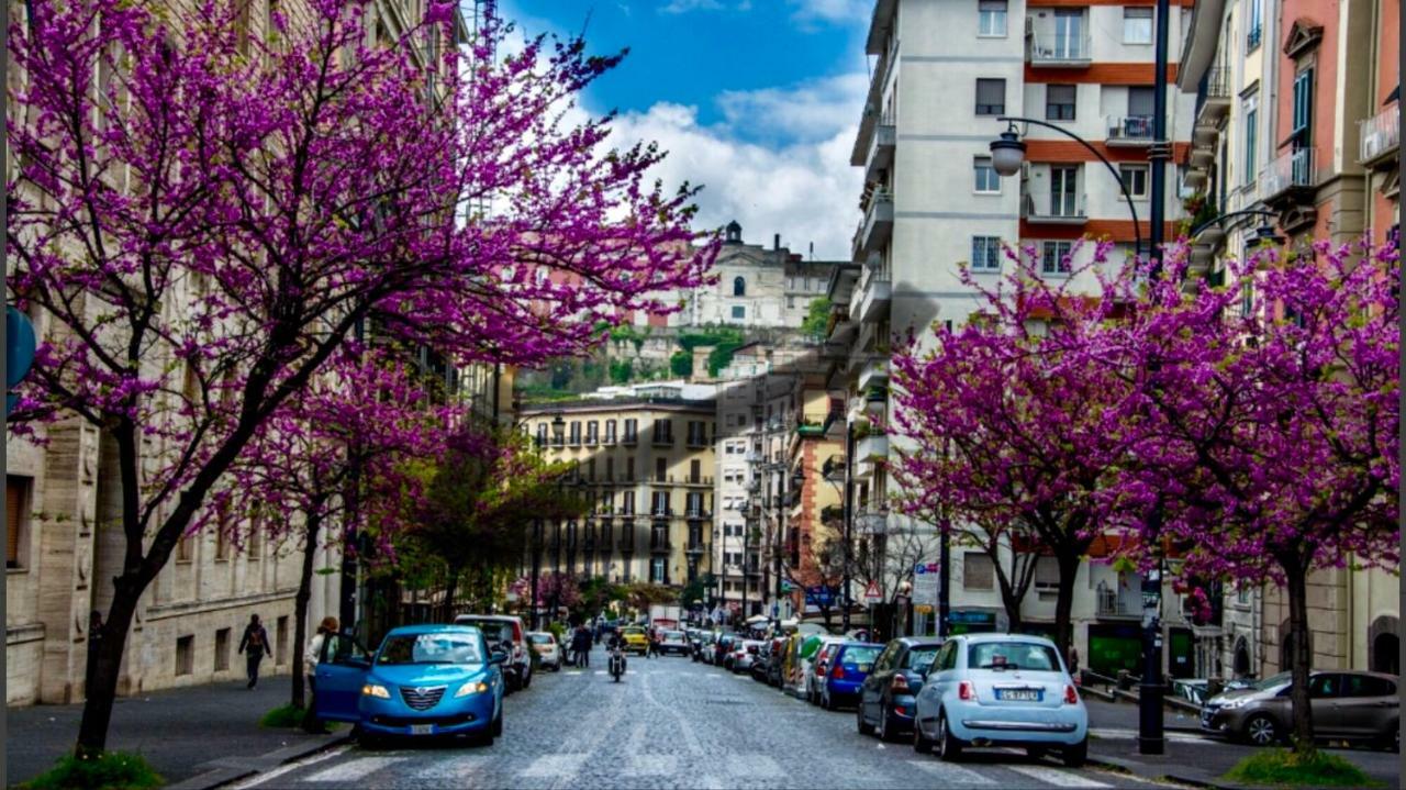 Borgo Santa Lucia Apartment Napoli Dış mekan fotoğraf